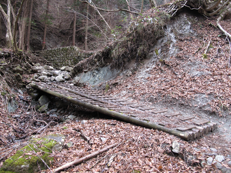 20160204hike (65)